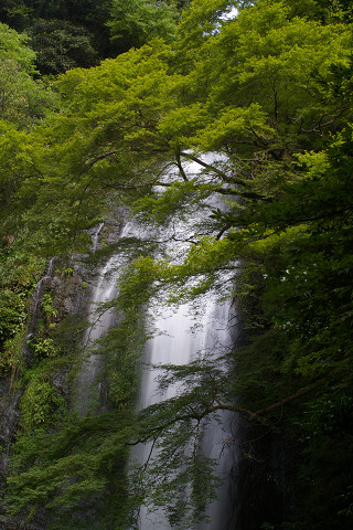 f0094045_1095530.jpg