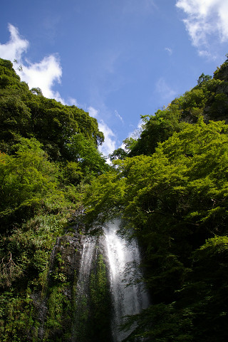 f0094045_10959.jpg