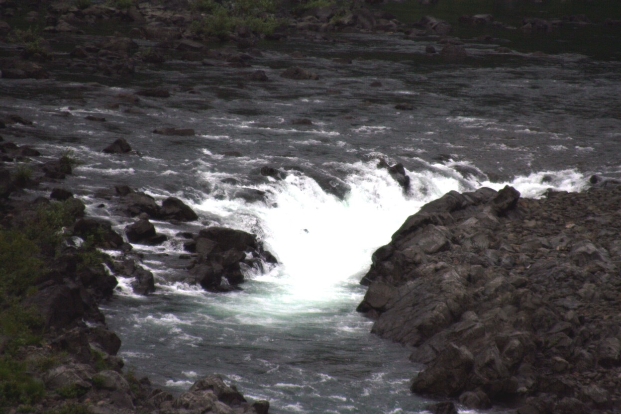 f0039446_9494272.jpg