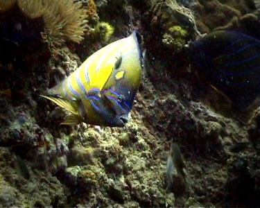 e0027447_1311225.jpg