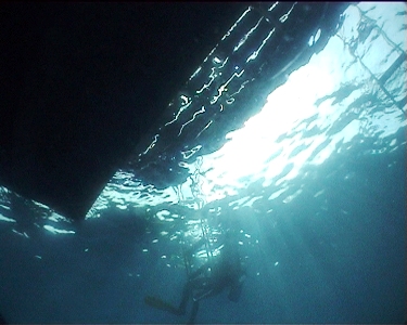 e0027447_1312475.jpg