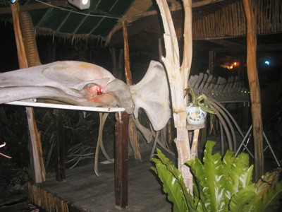 e0027447_1314322.jpg