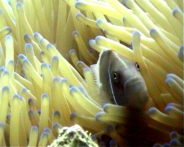 e0027447_139641.jpg
