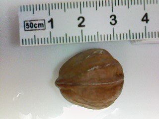c0100148_2112010.jpg