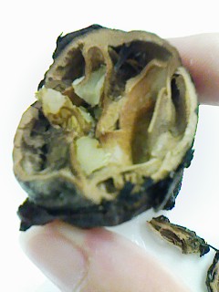 c0100148_21181523.jpg