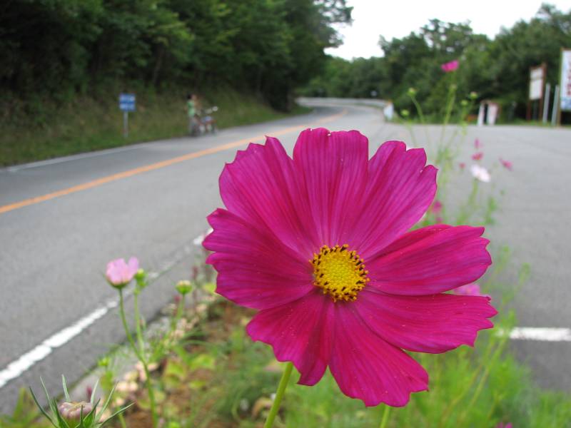 a0103850_1124437.jpg