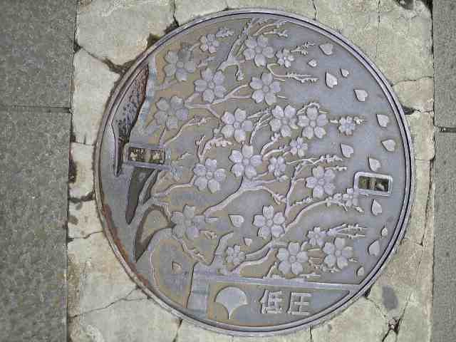 b0061261_22322465.jpg