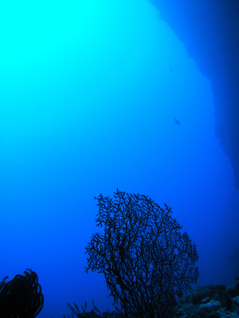 b0062363_21514355.jpg