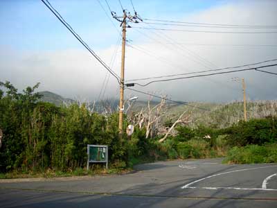 e0097770_1513578.jpg
