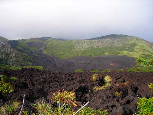 e0097770_1514309.jpg