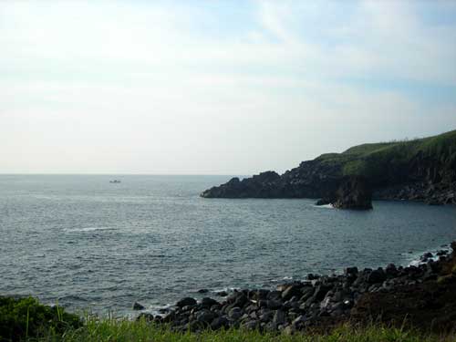 e0097770_1635321.jpg
