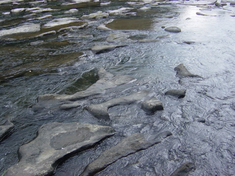 f0008679_22254949.jpg