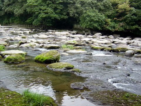 f0008679_2234336.jpg
