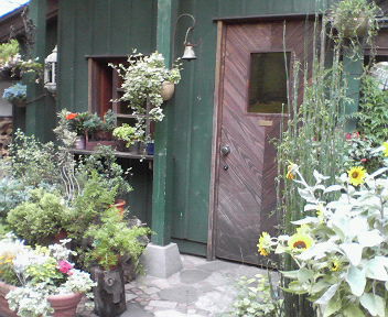 d0056881_22252292.jpg