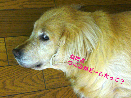 c0085188_13311728.jpg