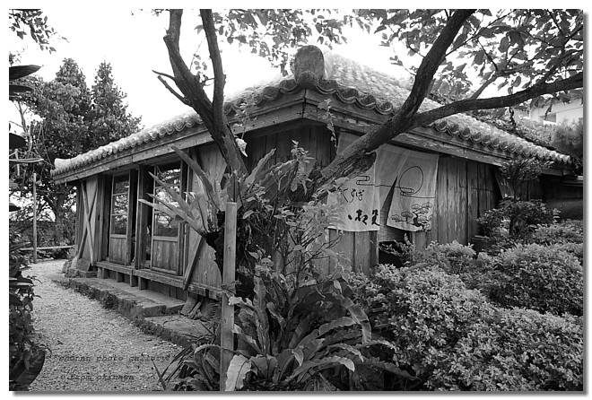 d0066488_928272.jpg