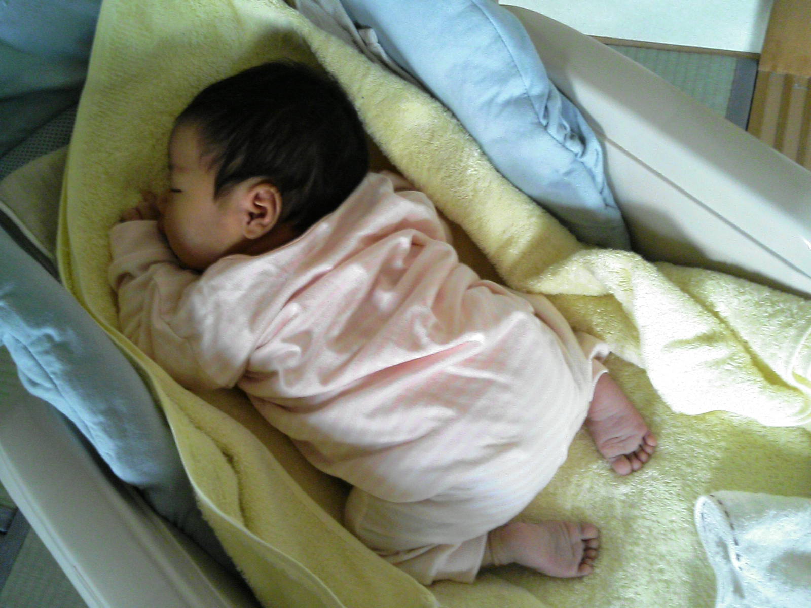 f0024291_1148506.jpg
