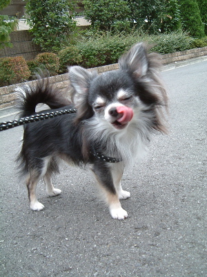 a0079803_0114080.jpg