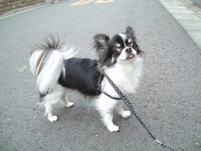 a0079803_024447.jpg