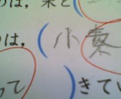 c0071003_0124837.jpg