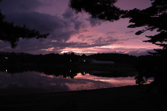 f0135205_2213100.jpg