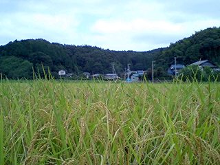 e0073418_2318076.jpg