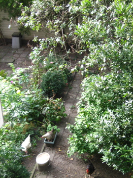f0121120_1234175.jpg
