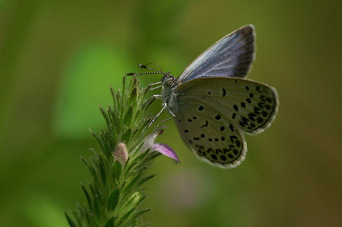d0089024_1018364.jpg