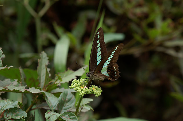 d0089024_10374573.jpg