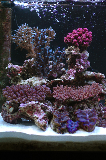 f0033126_0243857.jpg