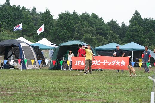 b0085331_14593267.jpg