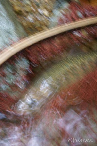 f0146531_2142860.jpg