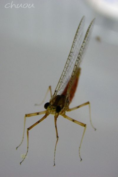 f0146531_22104492.jpg