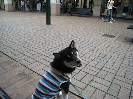 f0058241_20483477.jpg
