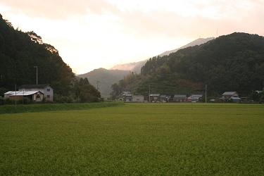 f0039446_1416635.jpg