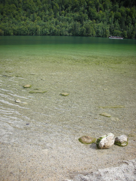 d0054347_191131.jpg