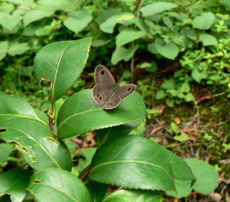 d0091754_2314658.jpg