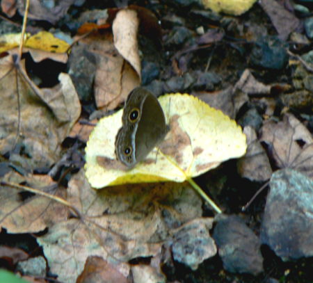 d0091754_23231329.jpg