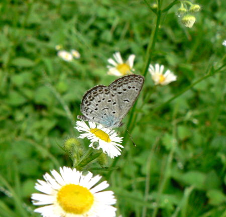 d0091754_2348555.jpg