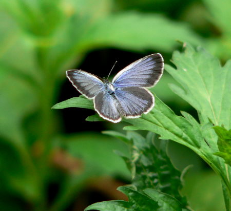 d0091754_23492781.jpg