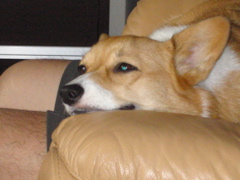 f0140454_22553211.jpg