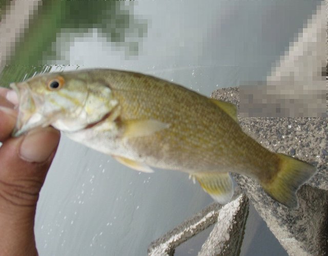 f0073059_21282232.jpg
