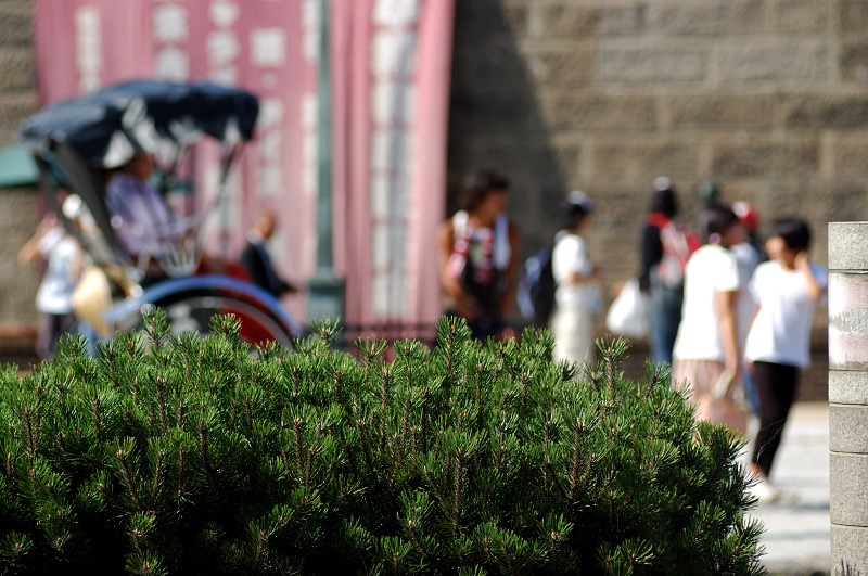 c0084666_14301922.jpg