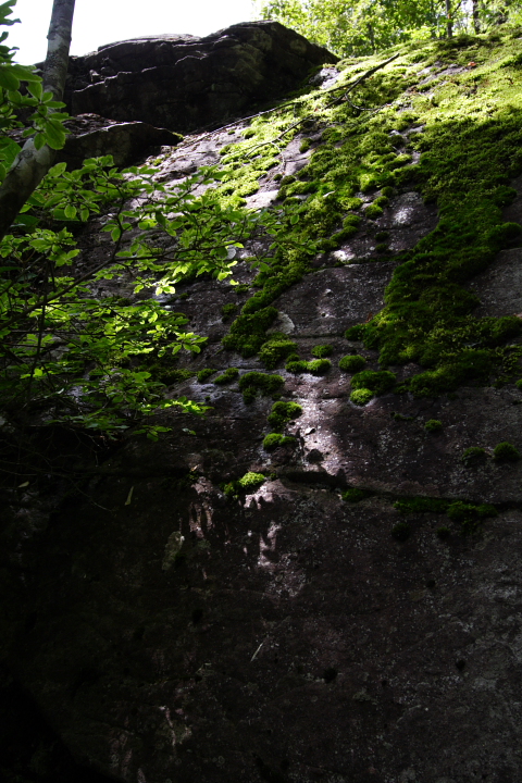 b0027267_09108.jpg