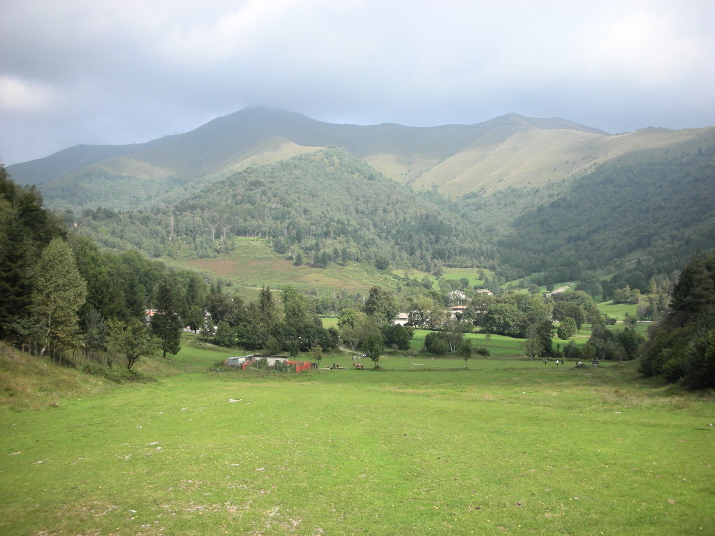 b0110467_2002864.jpg