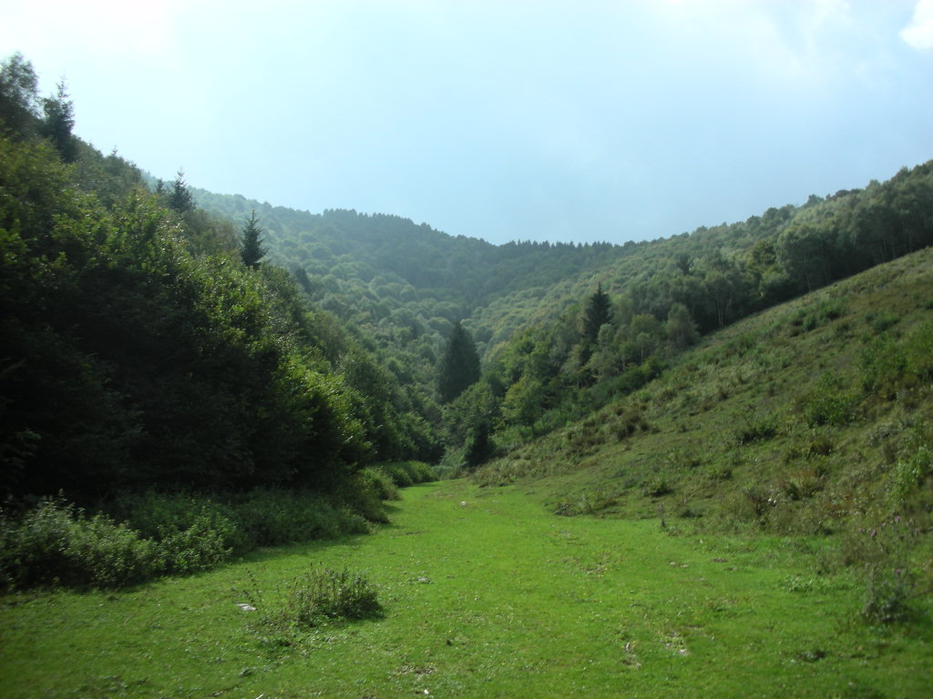 b0110467_2041347.jpg