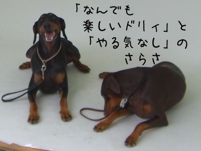 f0025769_12523163.jpg