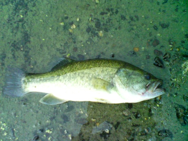 c0135271_20465013.jpg