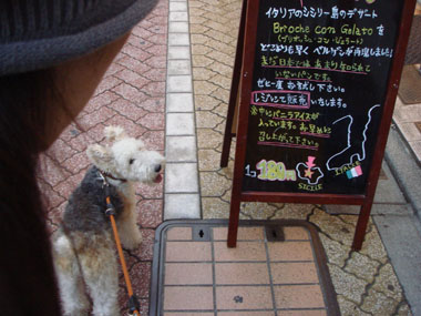 b0091373_1303519.jpg