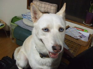 f0005081_15334081.jpg